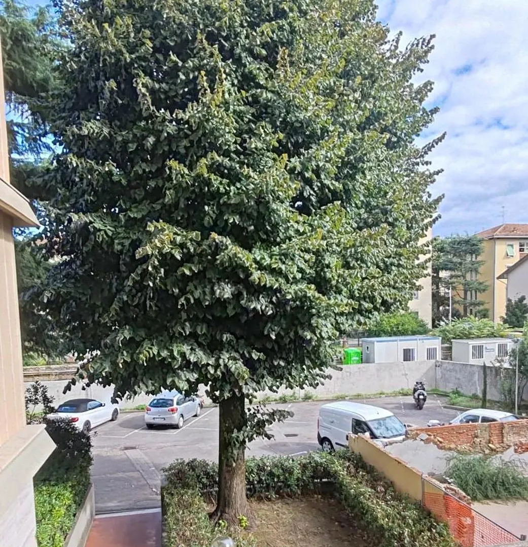 Apartment Il Monte Old Bridge Φλωρεντία